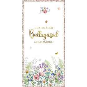   CARDEX Képeslap, zsebes, Gratulálok Ballagásod alkalmából