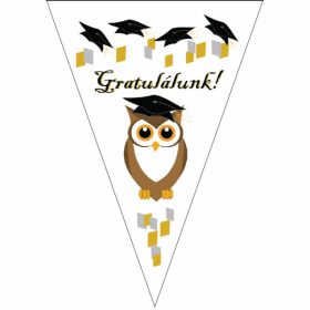 Ballagási zászlófüzér 2,5m Gratulálunk