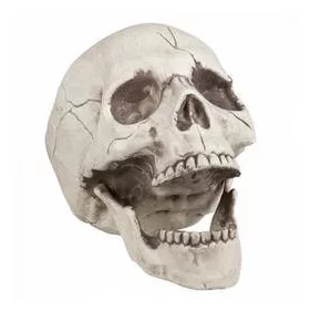 Koponya dekoráció 24cm, Halloween, 74378 