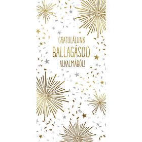   CARDEX Képeslap, zsebes, Gratulálunk Ballagásod alkalmából
