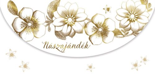Cardex díszboríték esküvőre, Nászajándék 