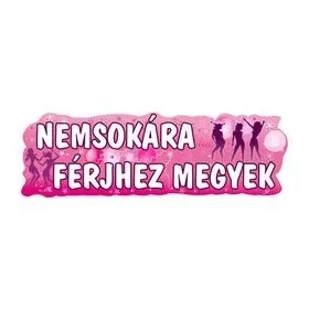 Lánybúcsú banner 90x27cm