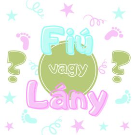 Szalvéta babaváróra 33x33cm 20db Fiú vagy Lány