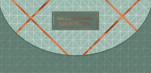 CARDEX díszboríték, Ballagásodra szeretettel 