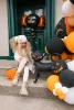 Álló lufi, 18 inch 48 cm Halloween, fekete macska, csak levegővel tölthető