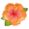 Papírtányér 26cm 6db Trópusi, Hawaii