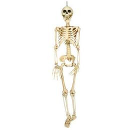 Csontváz dekoráció 90cm, Halloween, 26043